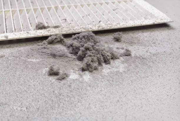 Best Air Duct Cleaning Near Me  in Poseyville, IN