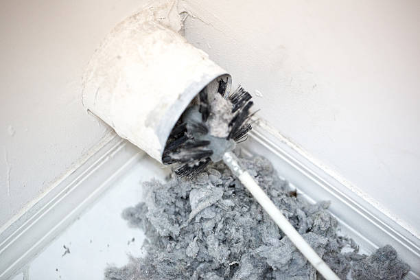 Best Air Vent Cleaning Services  in Poseyville, IN